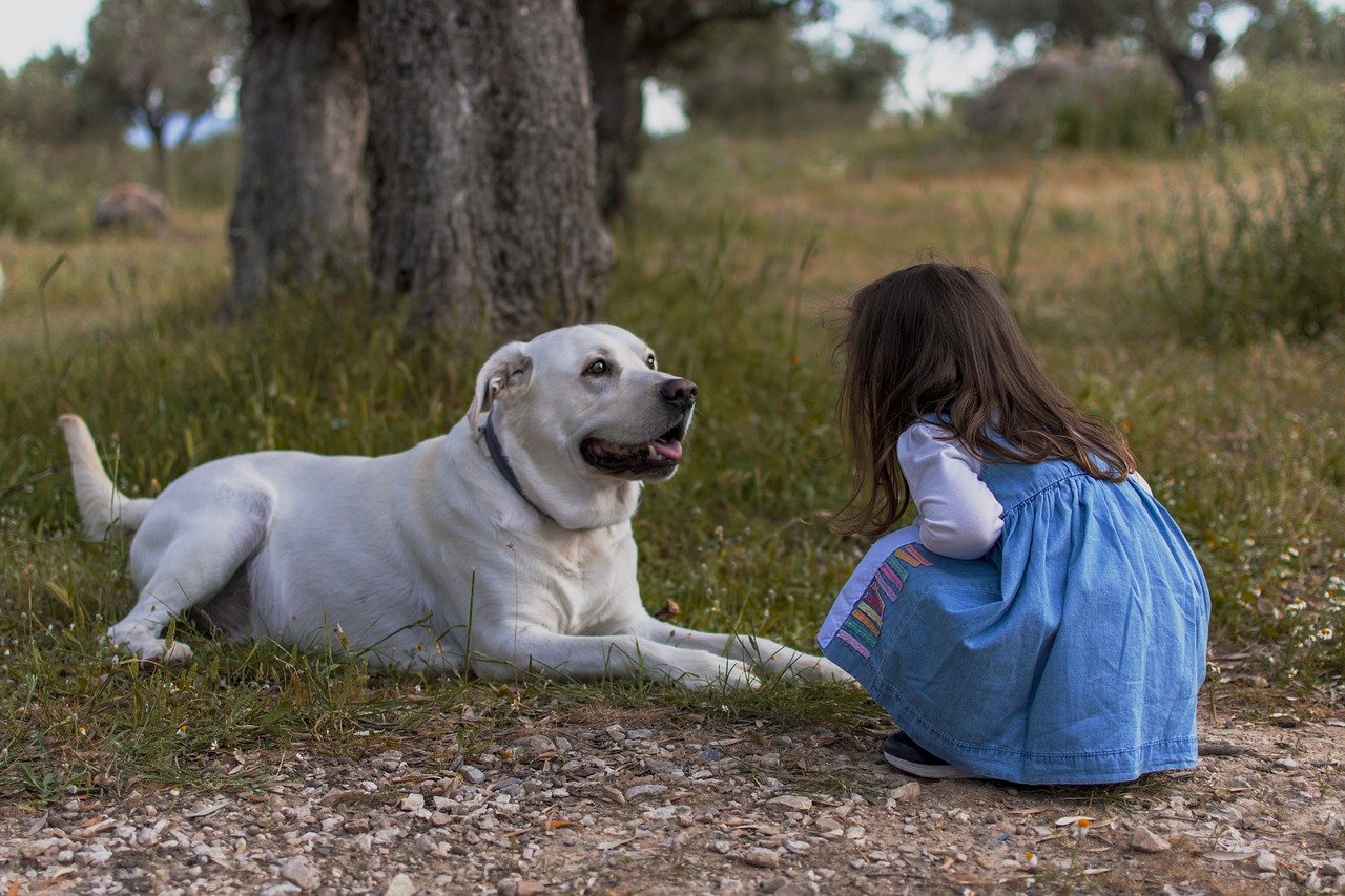 Home Security: How a Dog Can Help